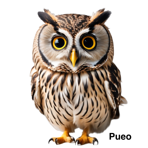 OWL Pueo Graphic