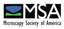 MSA logo