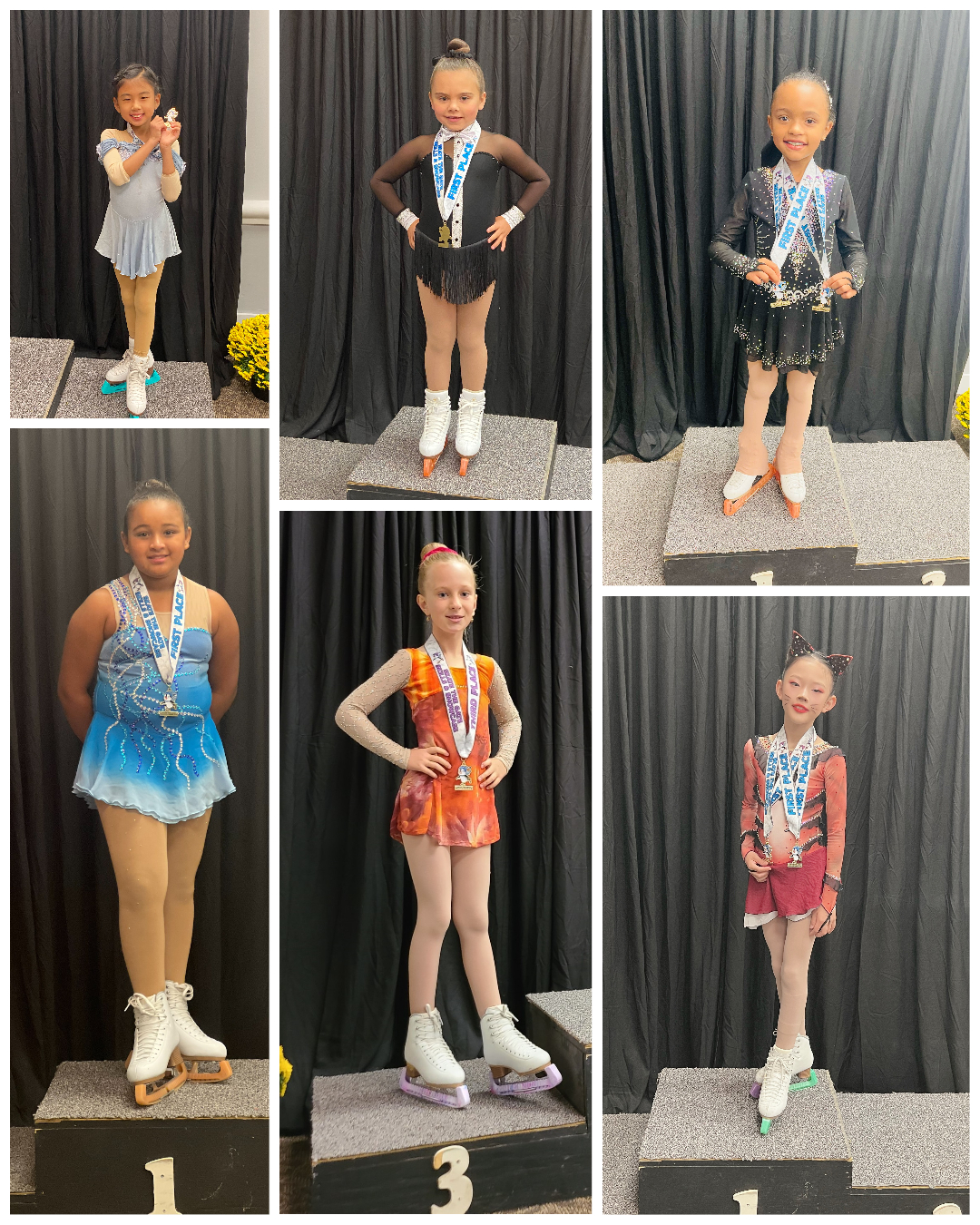 Ann Arbor Figure Skating Club Ann Arbor Figure Skating Club