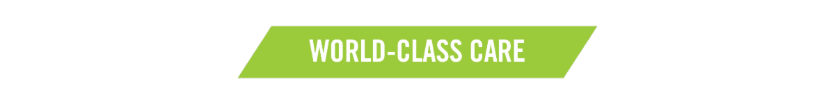 Divider graphic for care section