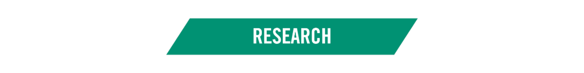 Divider graphic for education section