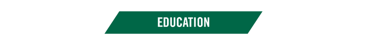 Divider graphic for education section