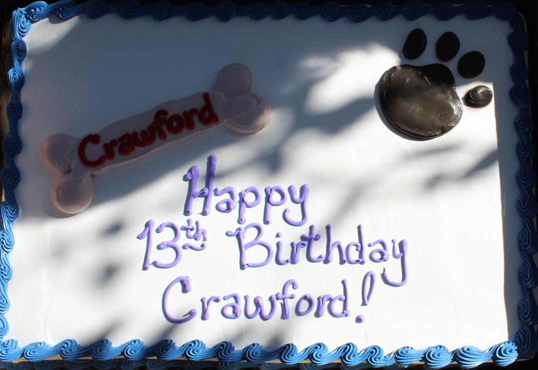 CAKE-2.jpg
