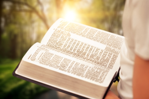 Person reading book praying with Bible