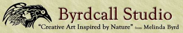 ByrdCall Studio