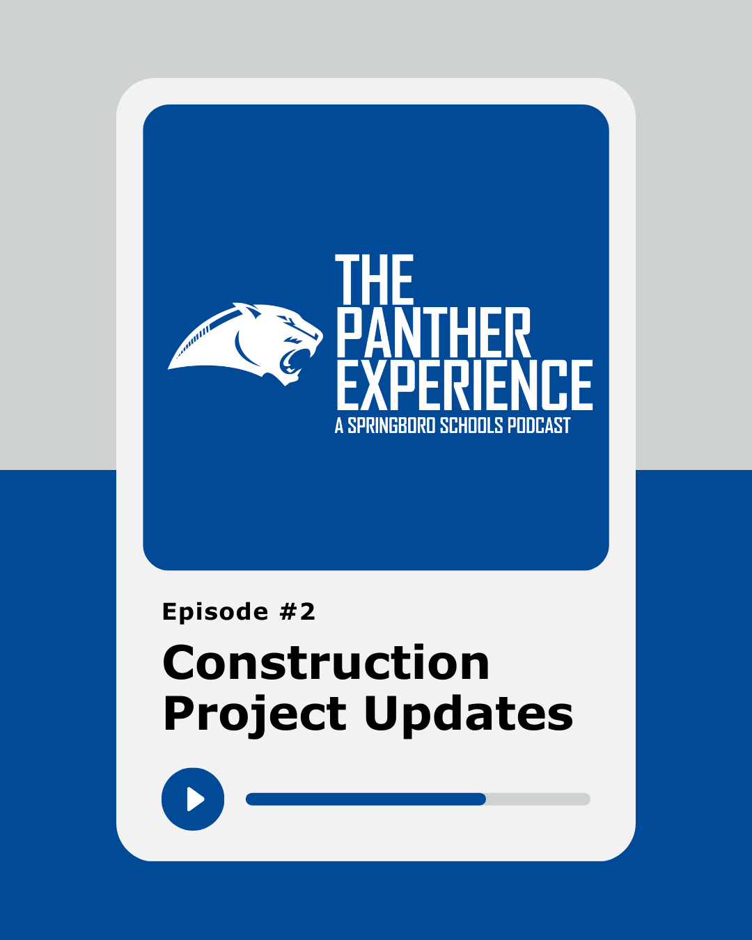 Podcast graphic The Panther Experience