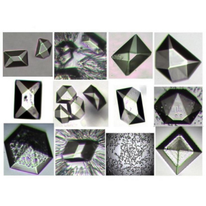 STARS Program For Structural Biology and Crystallography Education