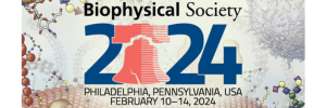 Biophysical Meeting 2024