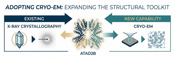 Breaking barriers: transitioning from X-ray crystallography to cryo-EM for structural studies