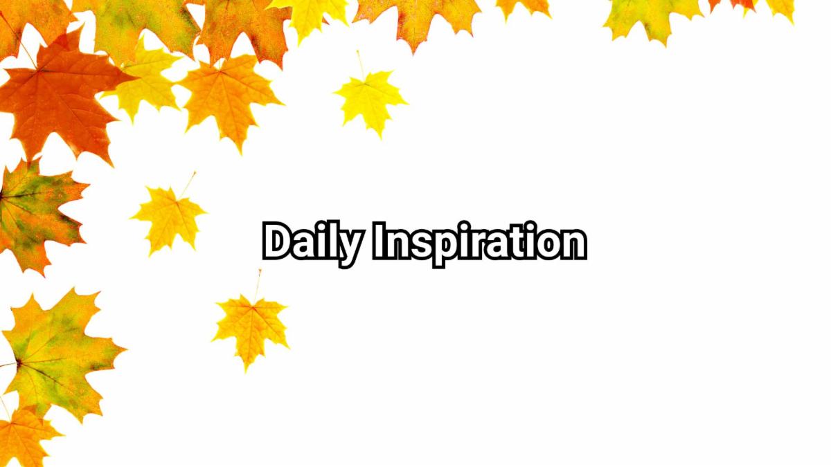 11-22-2025 daily inspiration.jpg