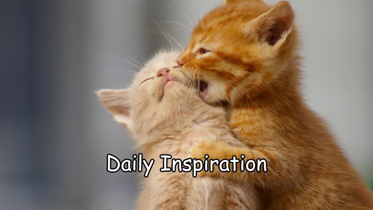 1-13-2026 Daily Inspiration.jpg