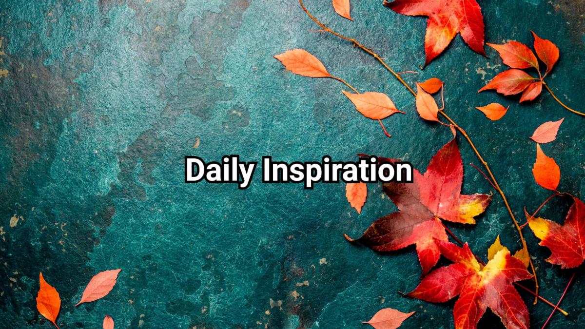 11-19-2025 daily inspiration.jpg