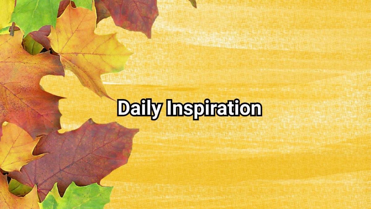 11-23-2025 daily inspiration.jpg