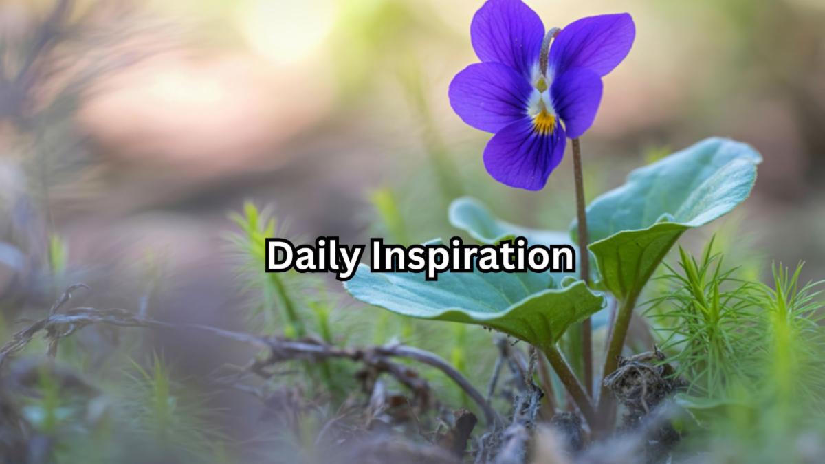 3-4-2026 daily inspiration.jpg