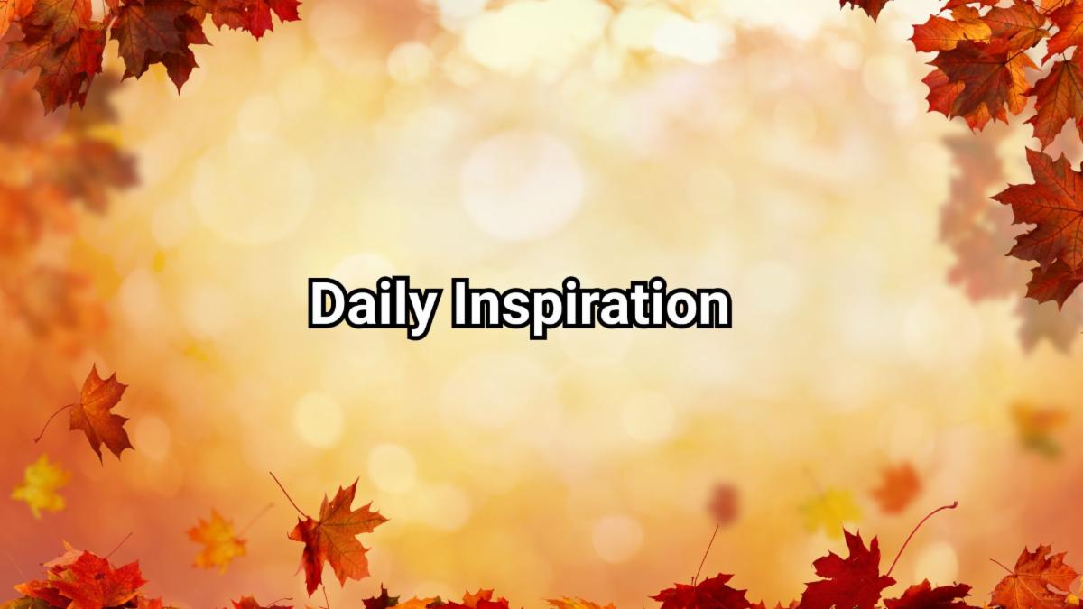 11-1-2025 daily inspiration.jpg