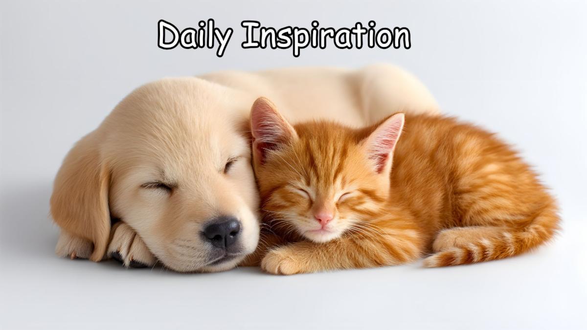 1-10-2026 Daily Inspiration.jpg