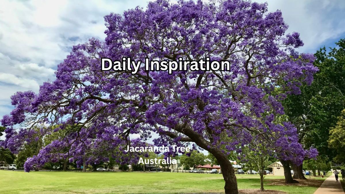 9-1-2025 Daily Inspiration.jpg