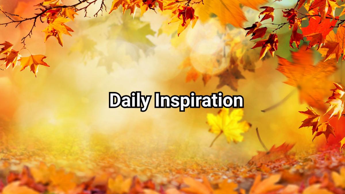 11-28-2025 daily inspiration.jpg