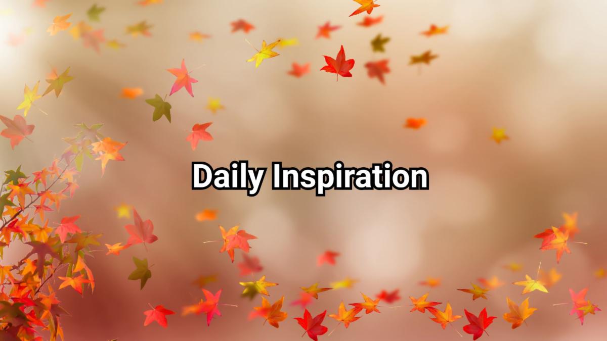 11-17-2025 daily inspiration.jpg