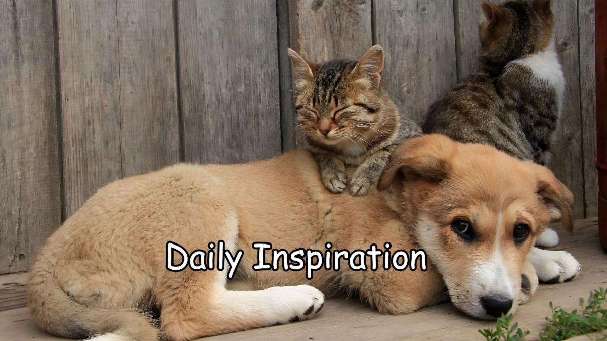 1-16-2026 Daily Inspiration.jpg