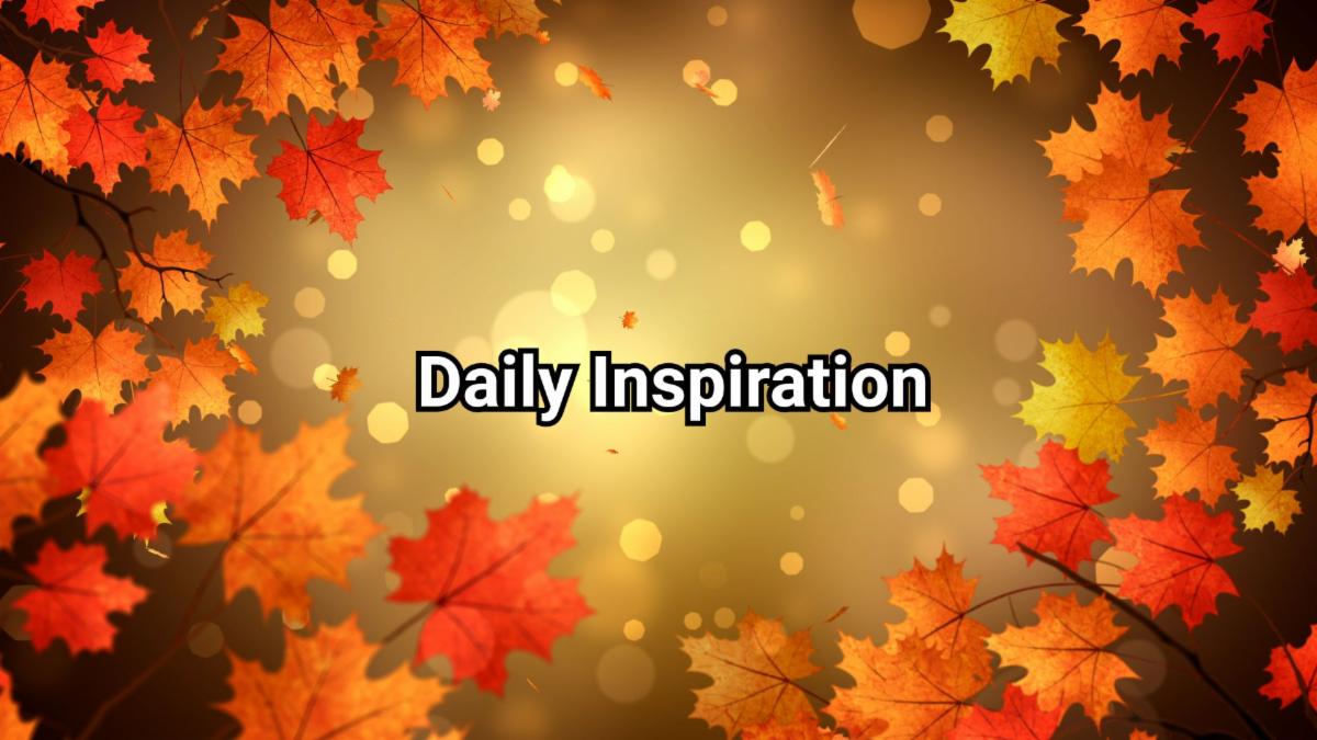 11-18-2025 daily inspiration.jpg