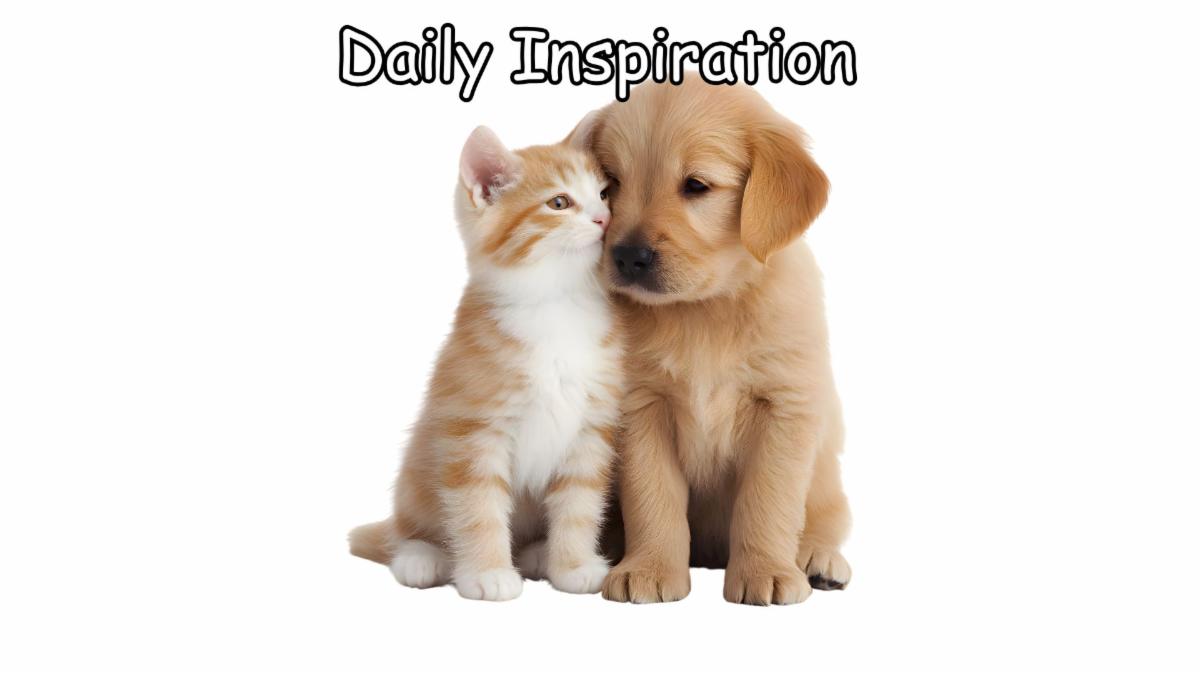 1-11-2026 Daily Inspiration.jpg