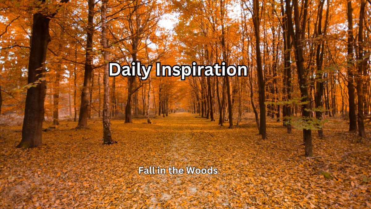 9-16-2025 Daily Inspiration.jpg