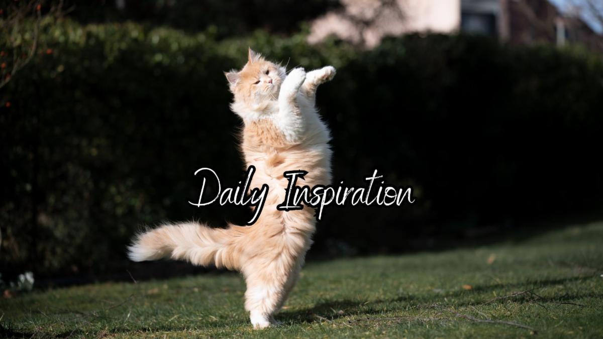 1-6-2026 Daily Inspiration.jpg