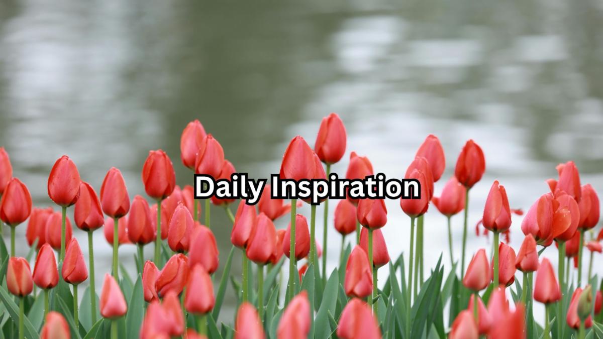 3-5-2026 daily inspiration.jpg