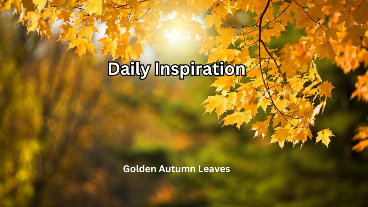 9-9-2025 Daily Inspiration.jpg
