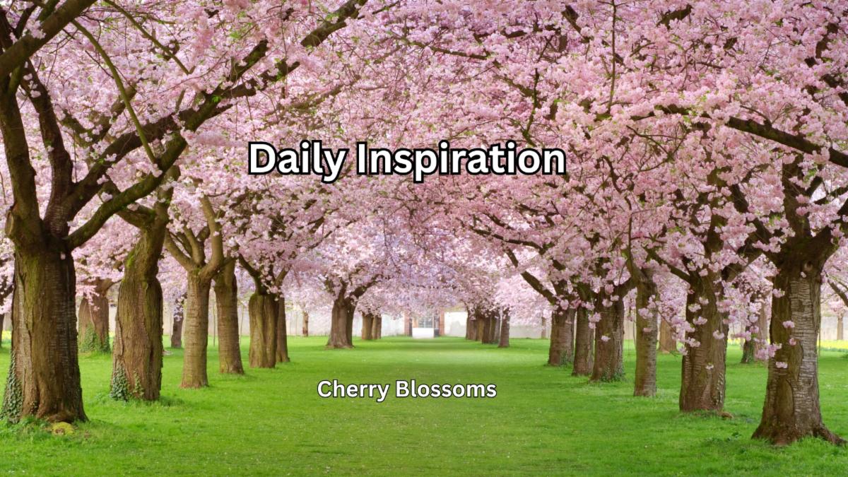 9-14-2025 Daily Inspiration.jpg