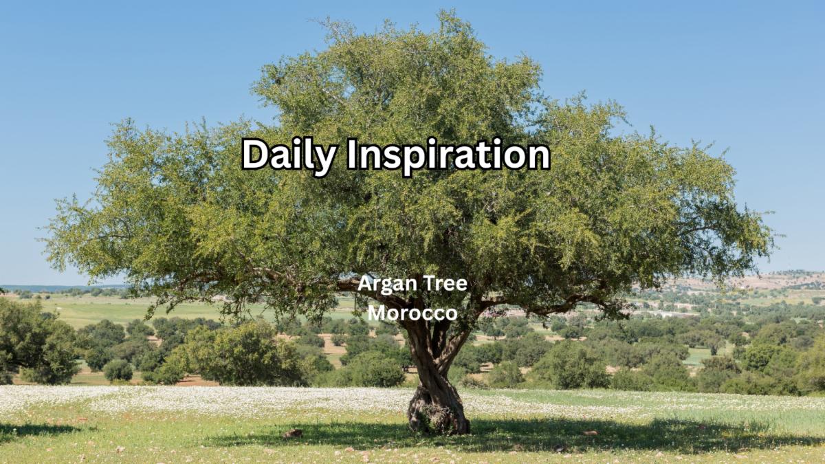 9-3-2025 Daily Inspiration.jpg