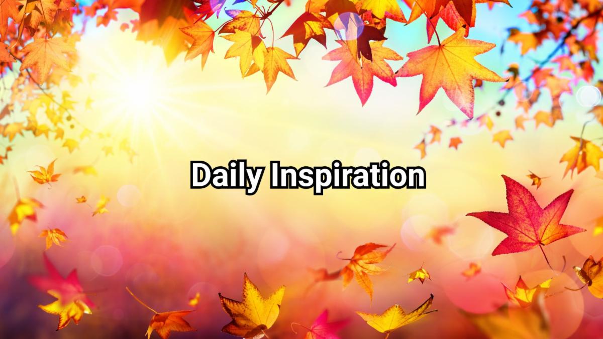 11-16-2025 daily inspiration.jpg