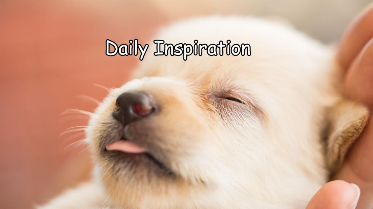 1-23-2026 daily inspiration.jpg