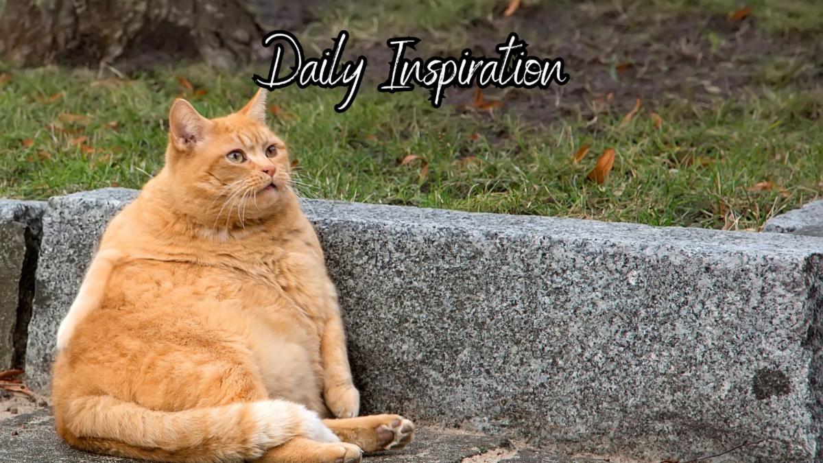 1-4-2026 Daily Inspiration.jpg