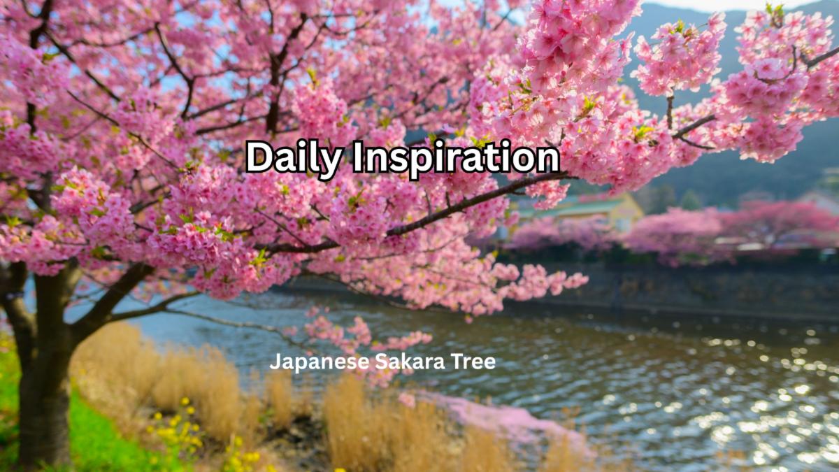 9-2-2025 Daily Inspiration.jpg