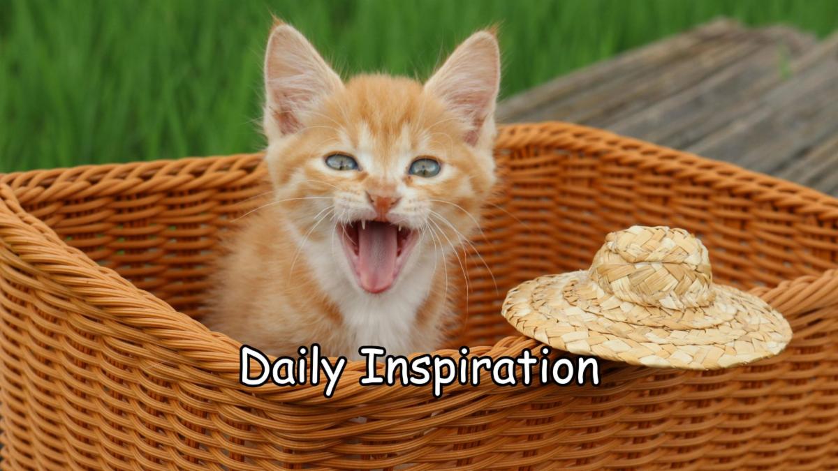 1-12-2026 Daily Inspiration.jpg