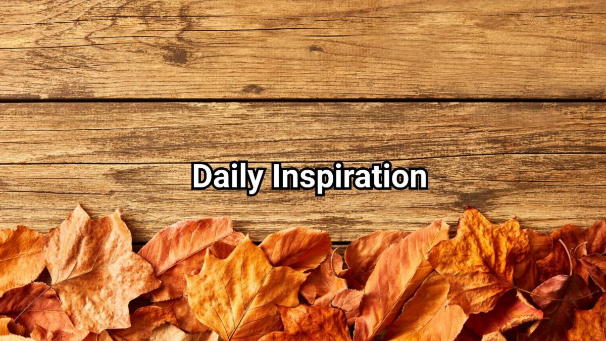 11-20-2025 daily inspiration.jpg