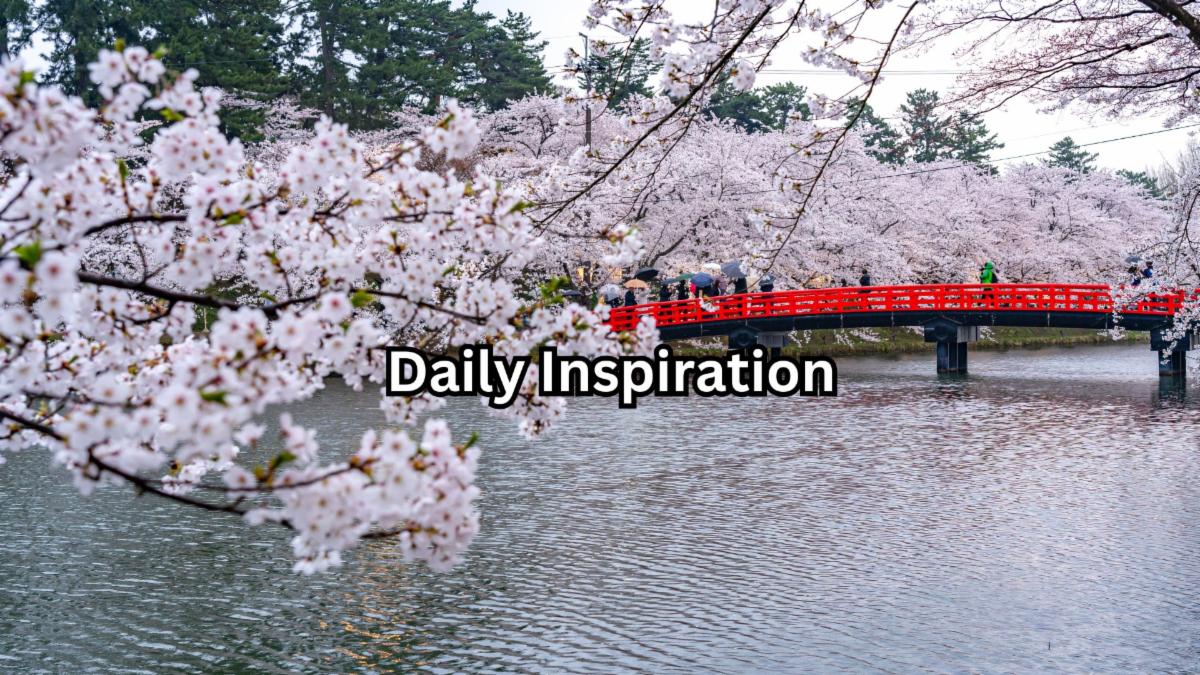 3-2-2026 daily inspiration.jpg