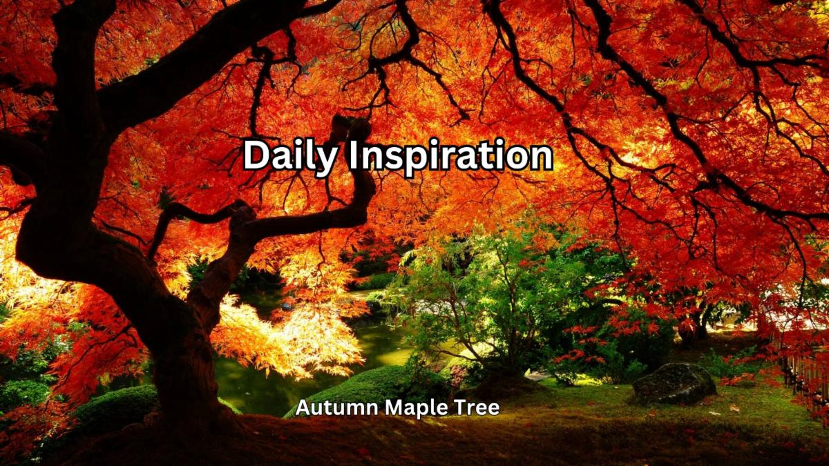 9-18-2025 Daily Inspiration.jpg