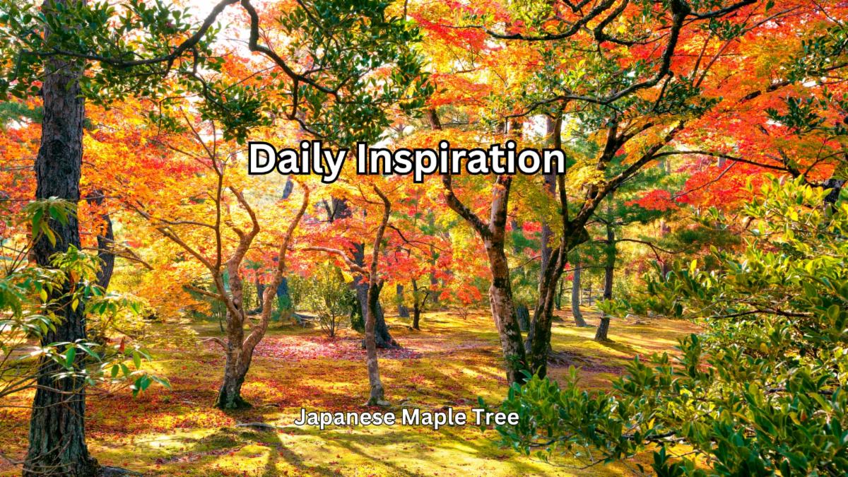 9-19-2025 Daily Inspiration.jpg