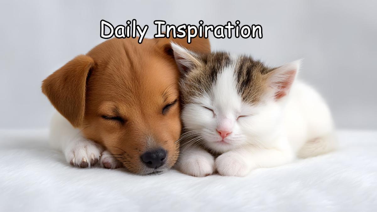 1-15-2026 Daily Inspiration.jpg