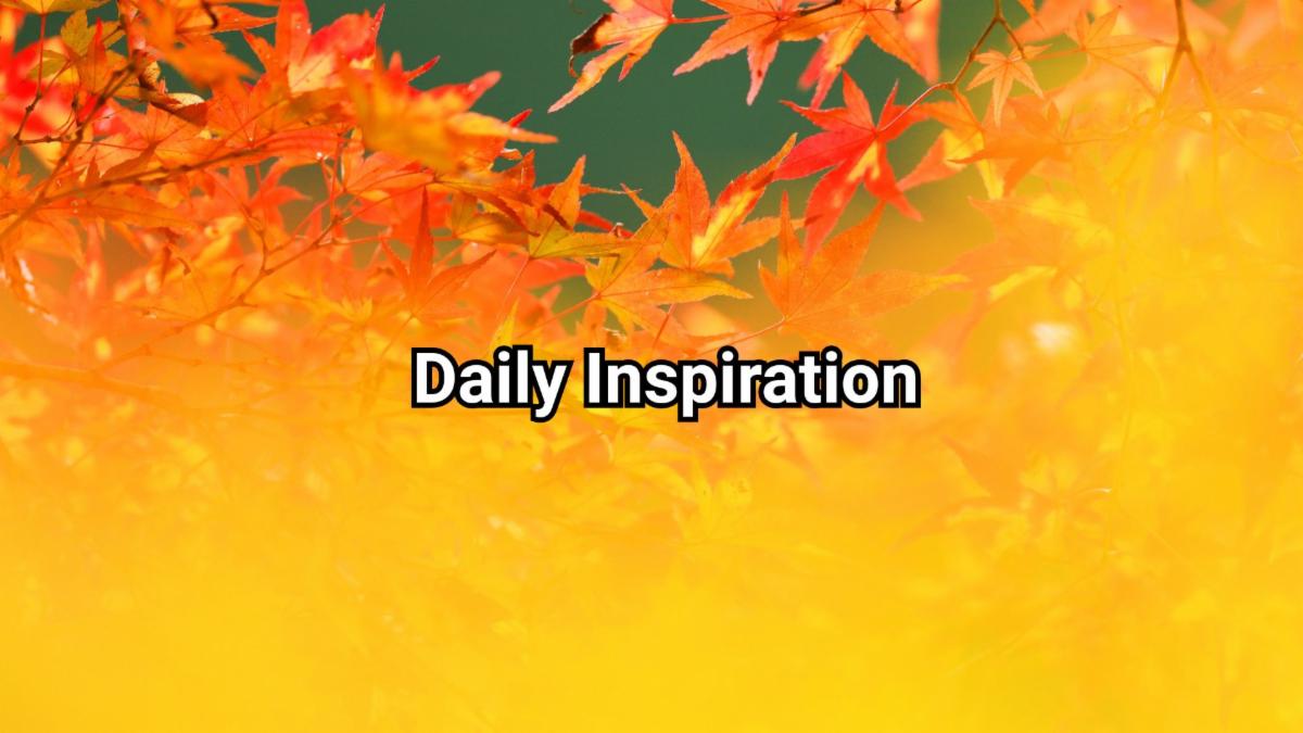 11-25-2025 daily inspiration.jpg