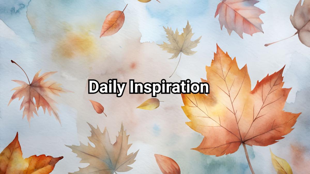 11-8-2025 daily inspiration.jpg