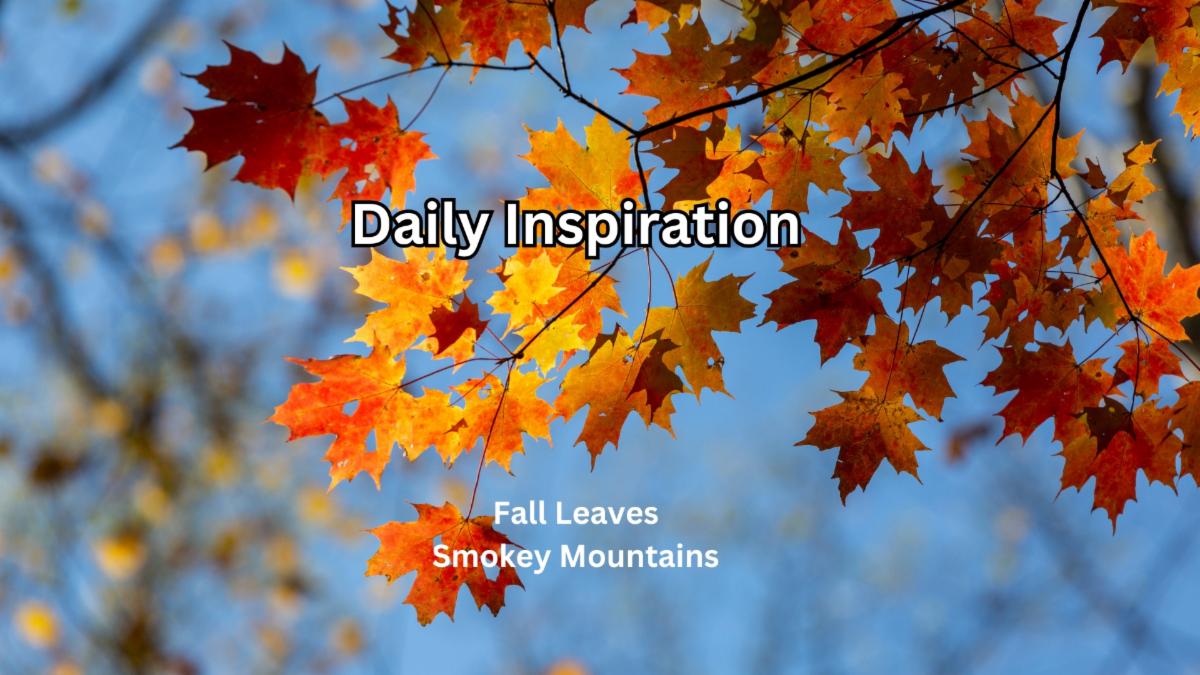 9-5-2025 Daily Inspiration.jpg