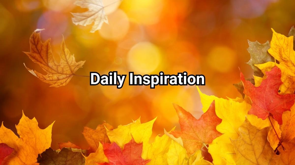 11-11-2025 daily inspiration.jpg