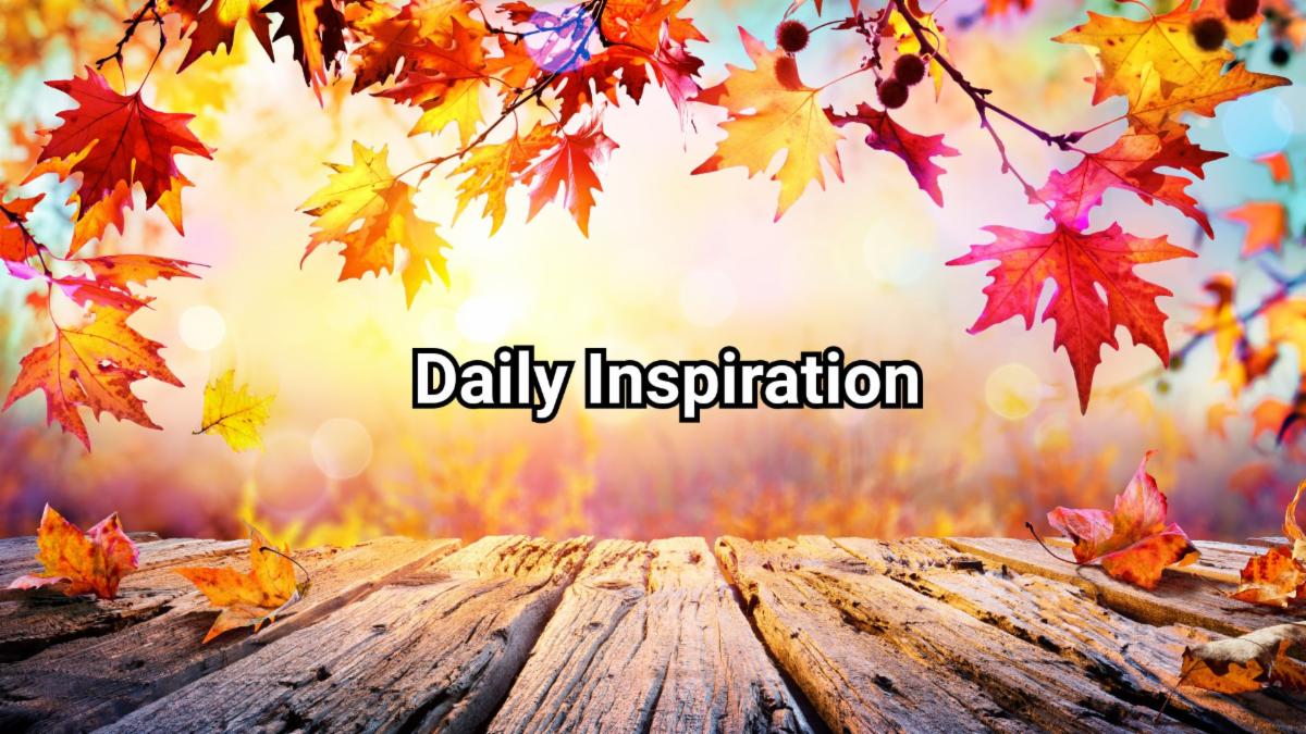 11-21-2025 daily inspiration.jpg