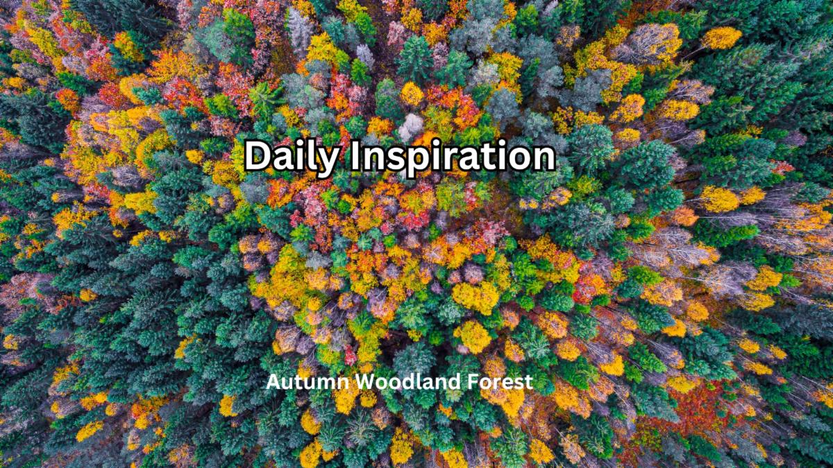 9-10-2025 Daily Inspiration.jpg