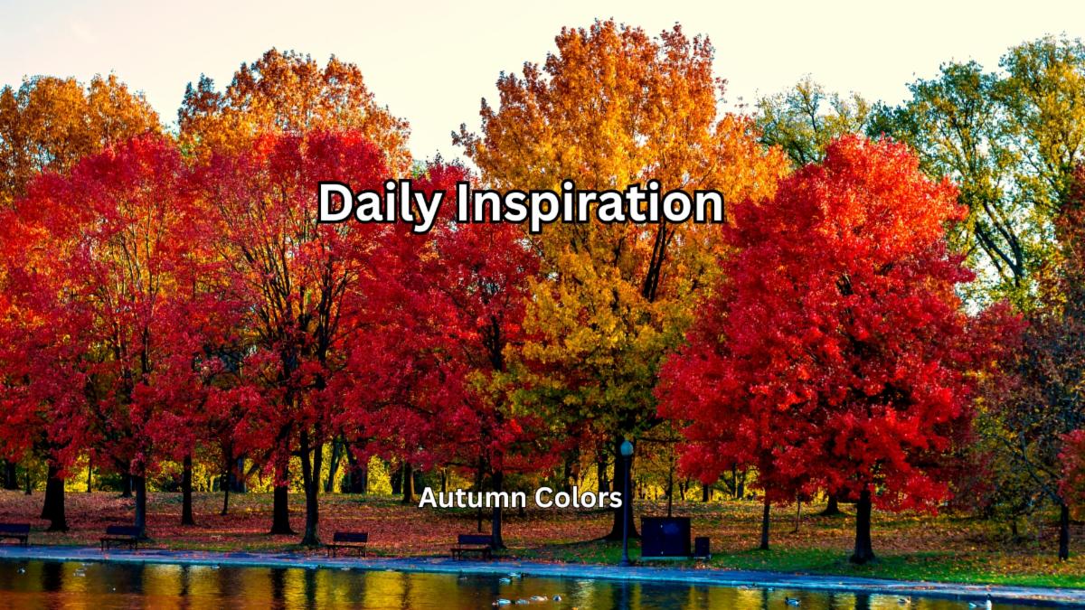 9-15-2025 Daily Inspiration.jpg