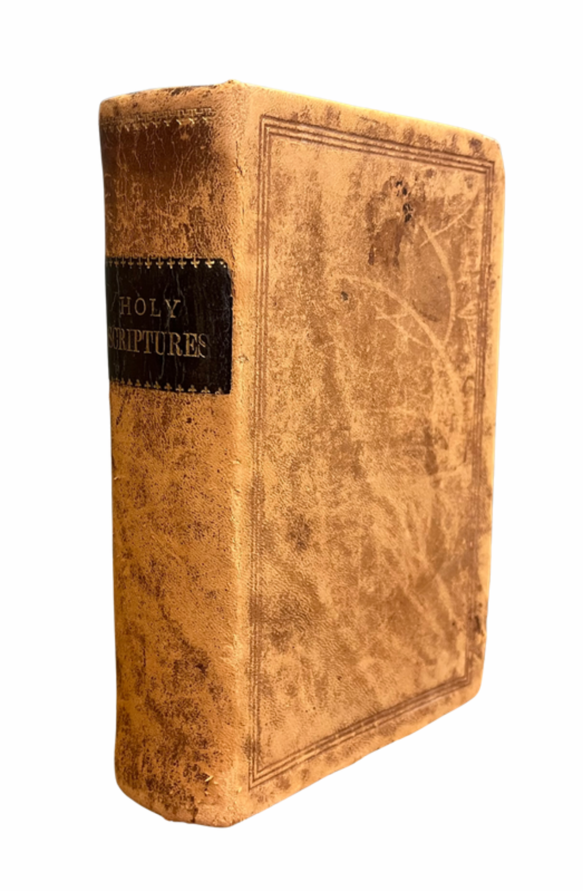 HolyScriptNOBG_p1.png